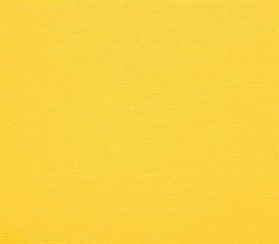 CARTONCINI 35x50cm 200gr/mq CEDRO 125