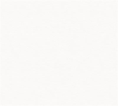 CARTONCINI 35x50cm 200gr/mq BIANCO 100