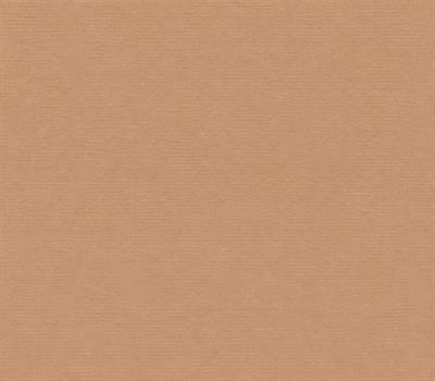 CARTONCINI 35x50cm 200gr/mq AVANA 103