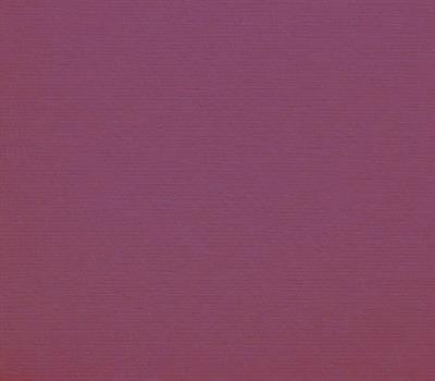CARTONCINI 35x50cm 200gr/mq VIOLA 104