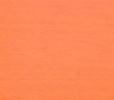 CARTONCINI 35x50cm 200gr/mq ARANCIO 108