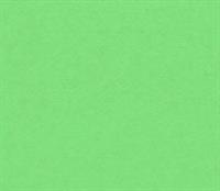 CARTONCINI 35x50cm 200gr/mq VERDE PISELLO 110