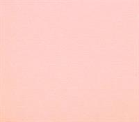 CARTONCINI 35x50cm 200gr/mq ROSA 116