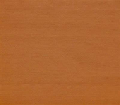 CARTONCINI 35x50cm 200gr/mq TERRA BRUCIATA 119