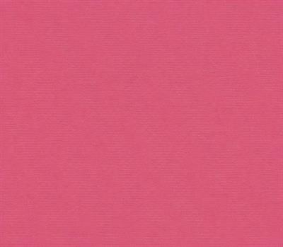 CARTONCINI 35x50cm 200gr/mq FUCSIA 123